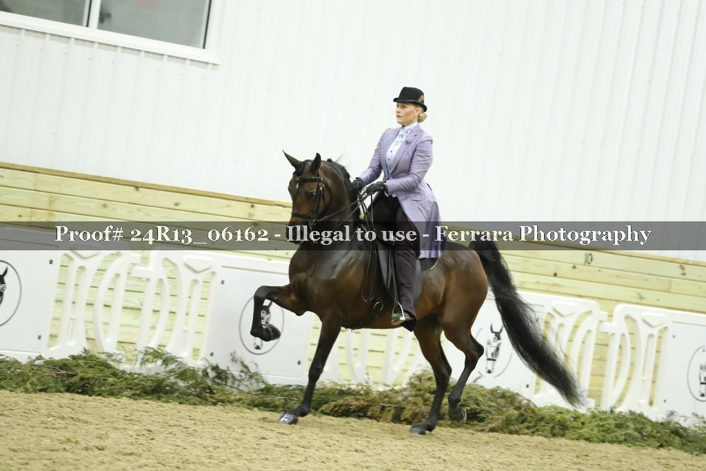 Proof 24R13_06162