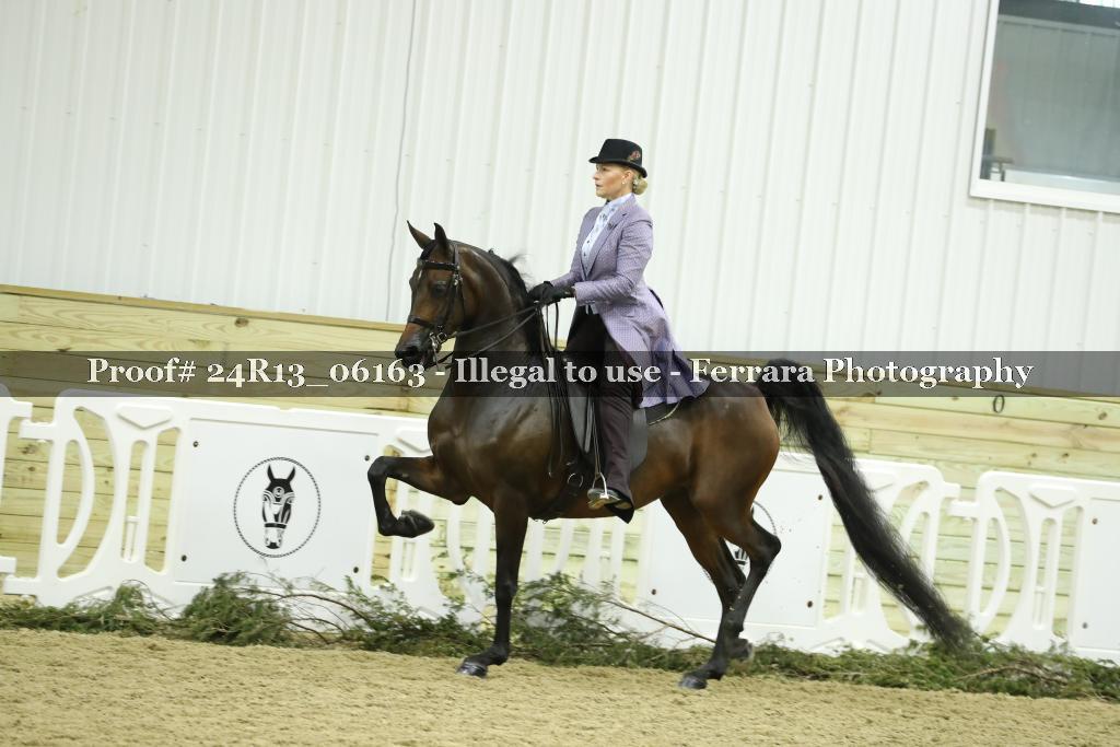 Proof 24R13_06163