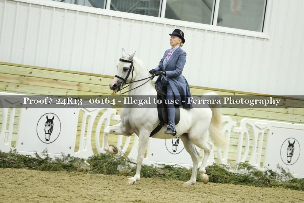 Proof 24R13_06164