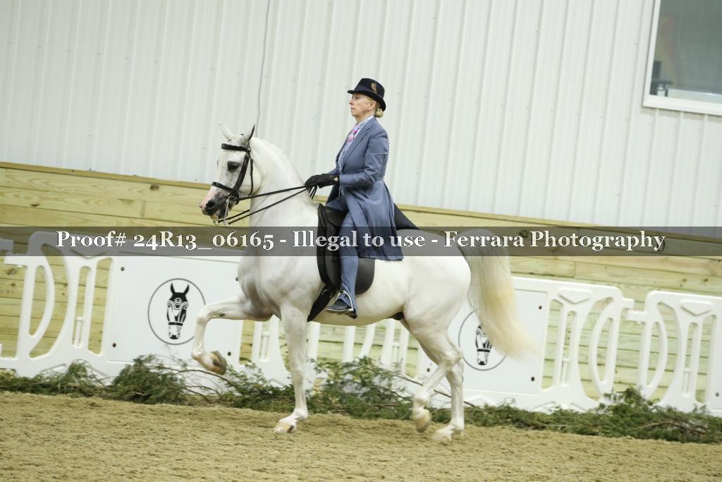 Proof 24R13_06165