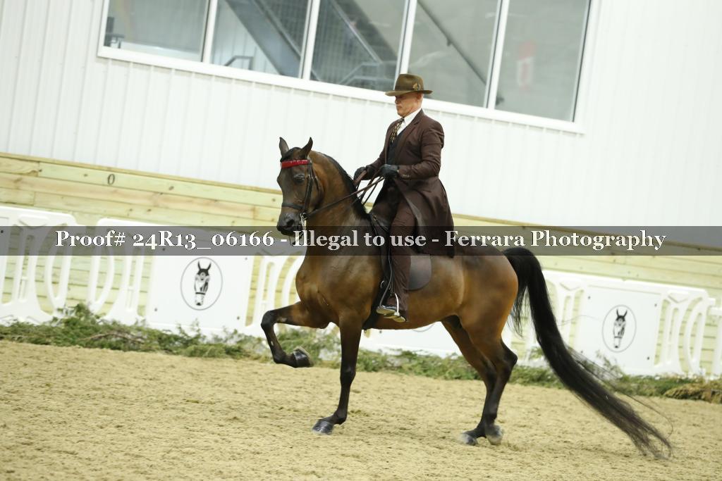 Proof 24R13_06166
