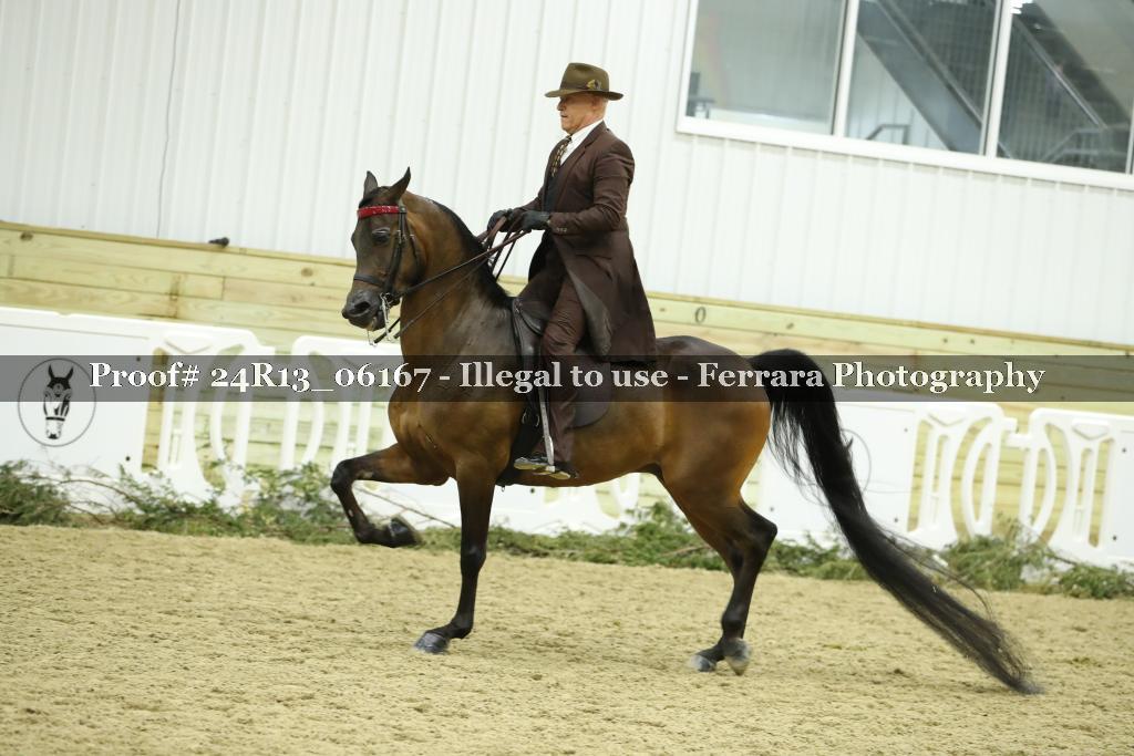 Proof 24R13_06167