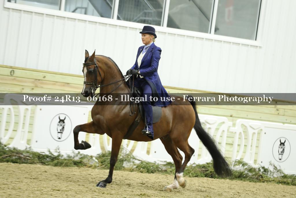Proof 24R13_06168
