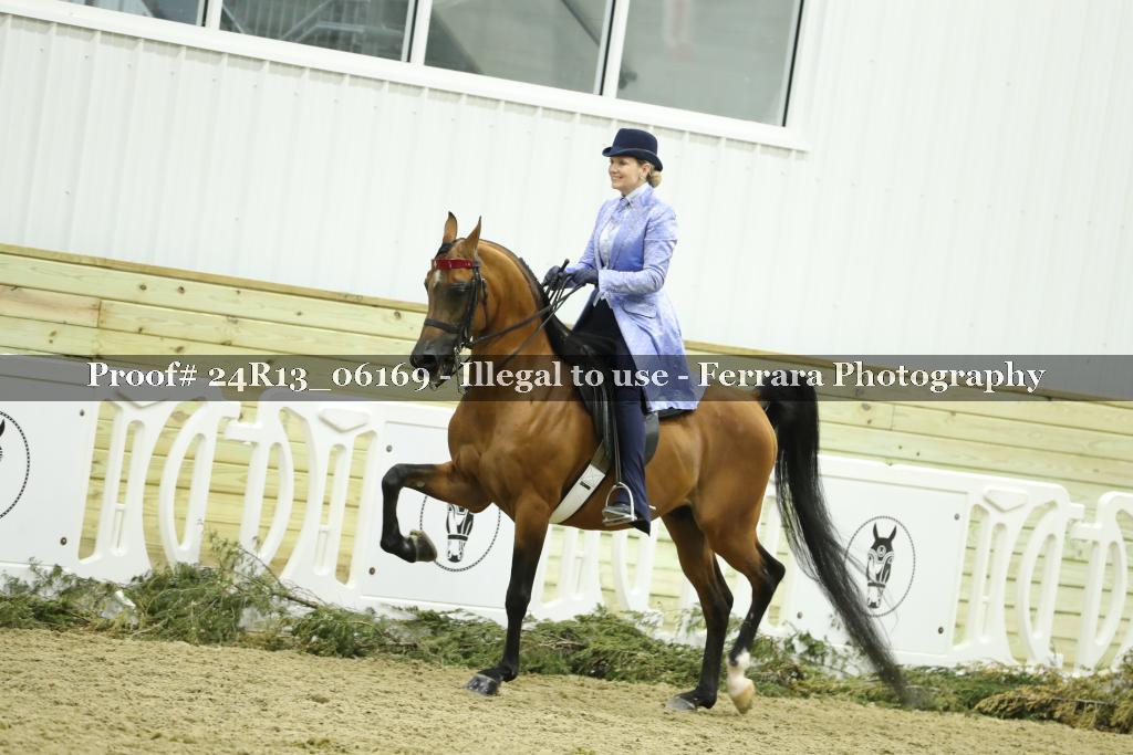 Proof 24R13_06169