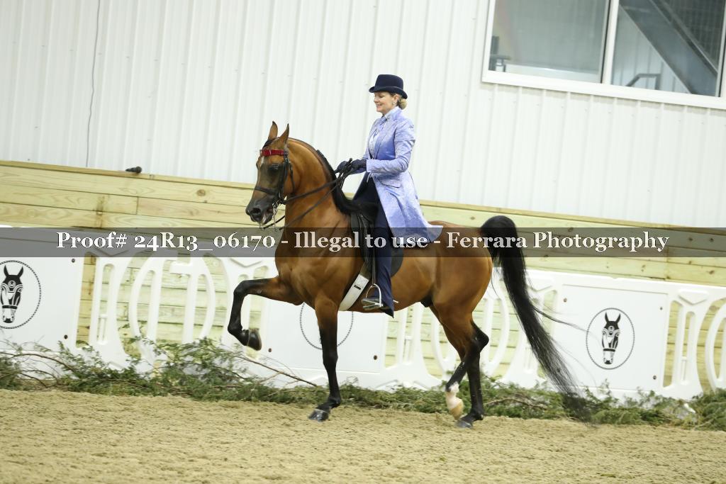 Proof 24R13_06170