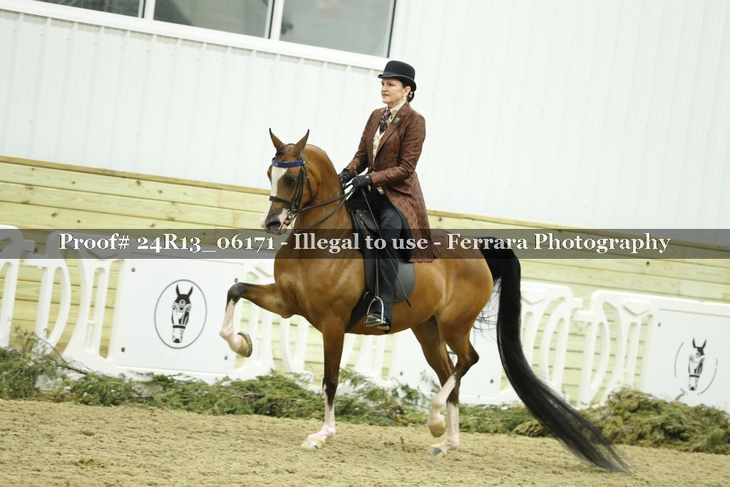 Proof 24R13_06171