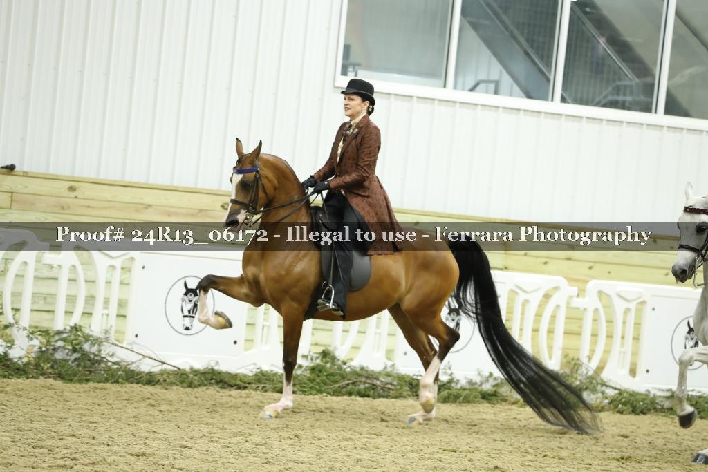 Proof 24R13_06172
