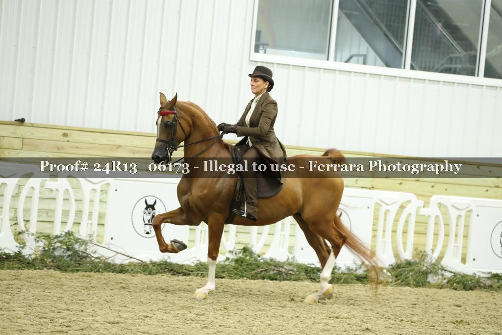 Proof 24R13_06173