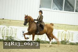 24R13_06173 proof