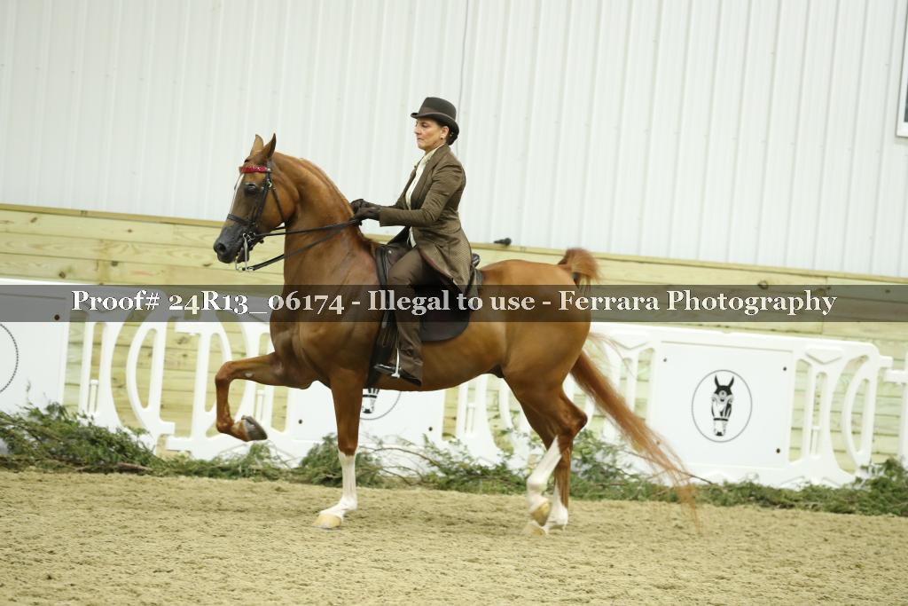 Proof 24R13_06174