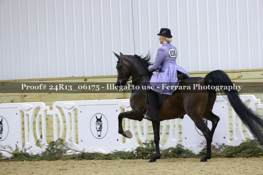Proof 24R13_06175