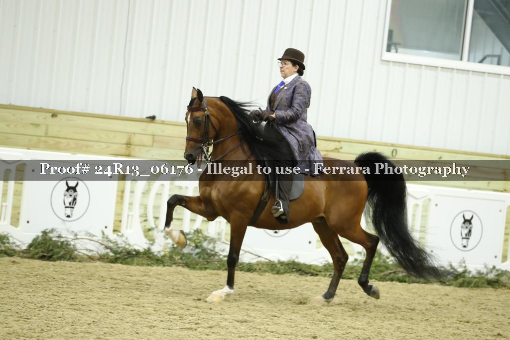 Proof 24R13_06176
