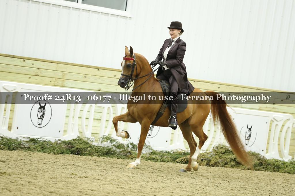 Proof 24R13_06177