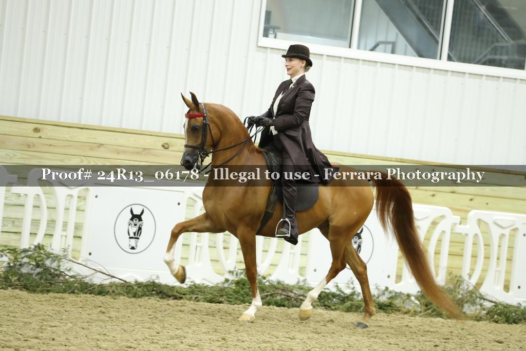Proof 24R13_06178