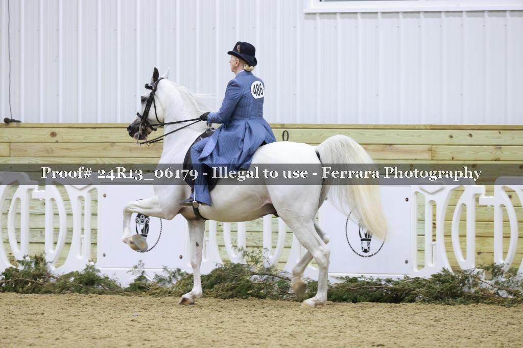 Proof 24R13_06179