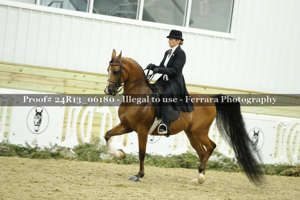 Proof 24R13_06180
