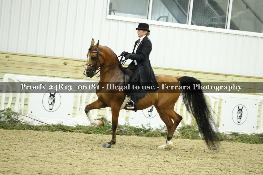 Proof 24R13_06181