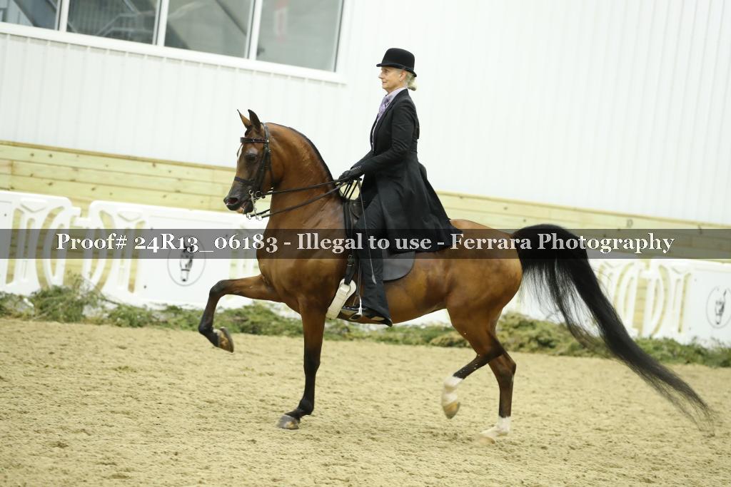 Proof 24R13_06183