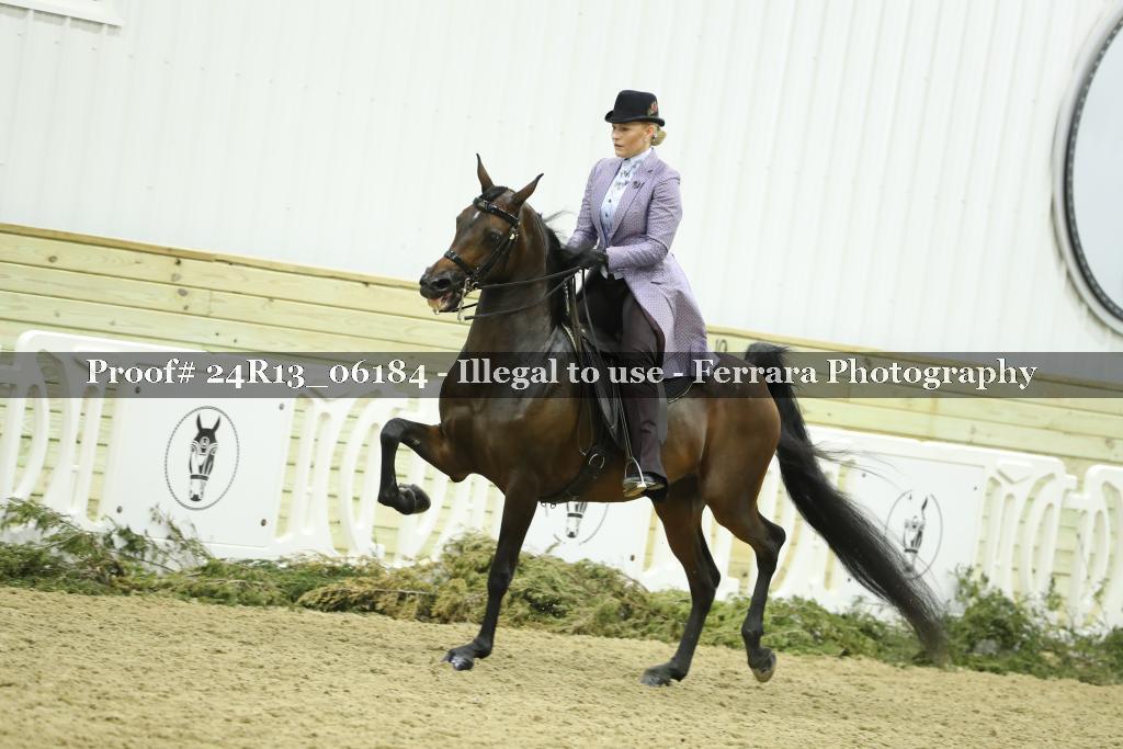 Proof 24R13_06184