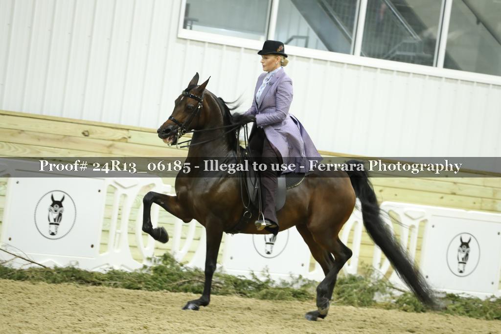 Proof 24R13_06185