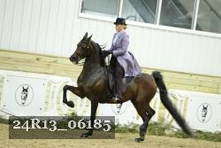 24R13_06185 proof