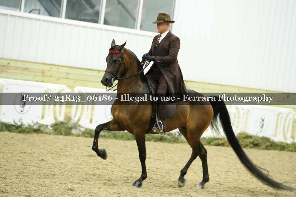 Proof 24R13_06186