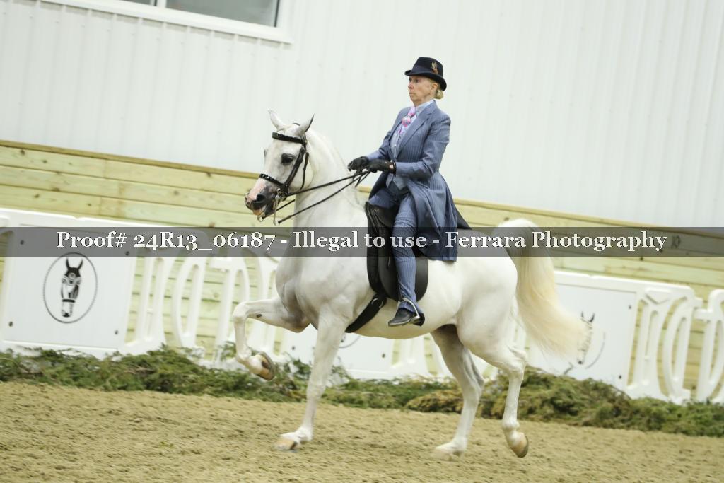 Proof 24R13_06187