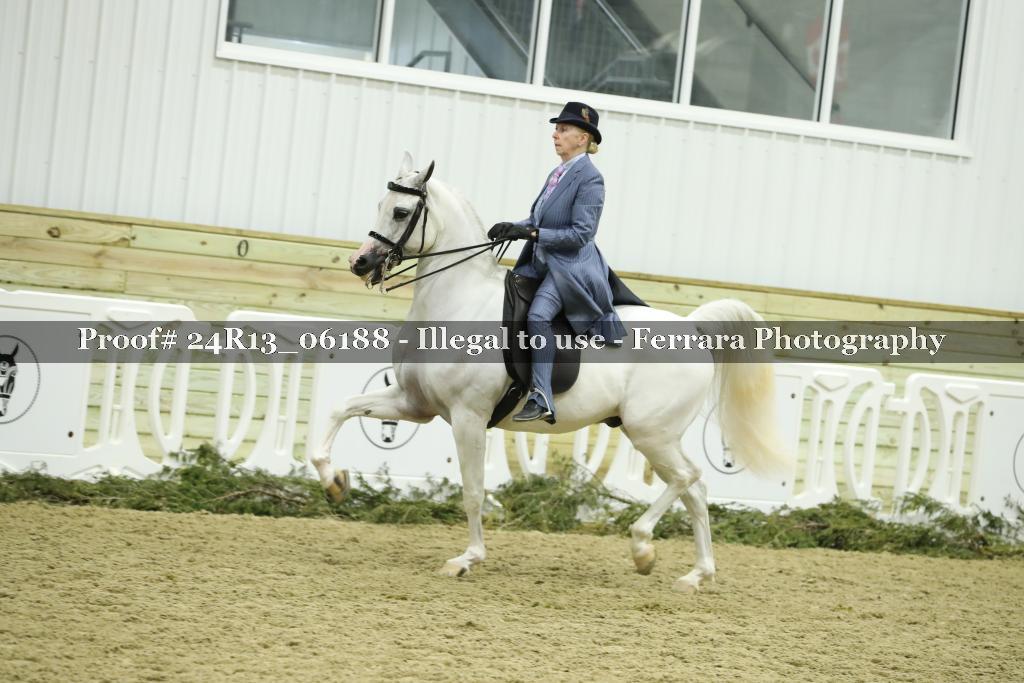 Proof 24R13_06188