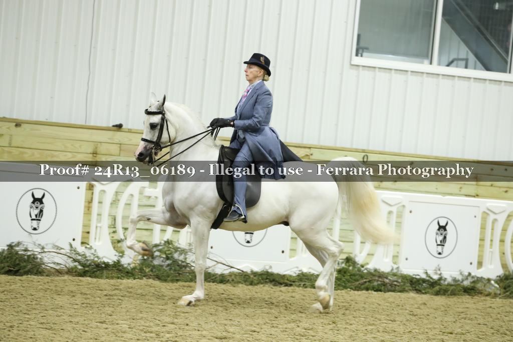 Proof 24R13_06189