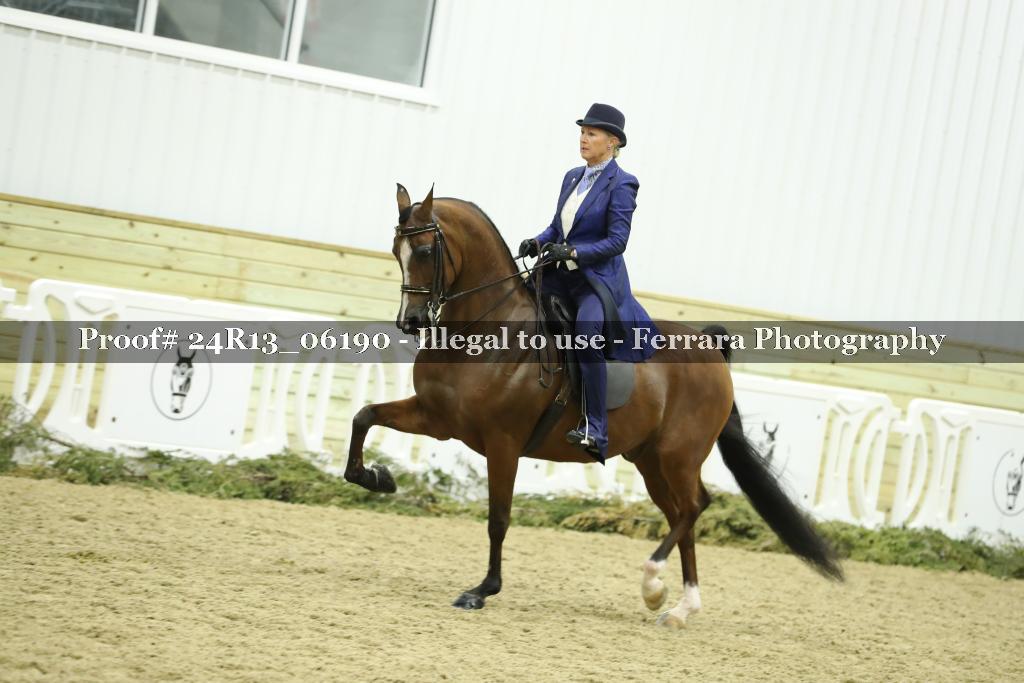 Proof 24R13_06190