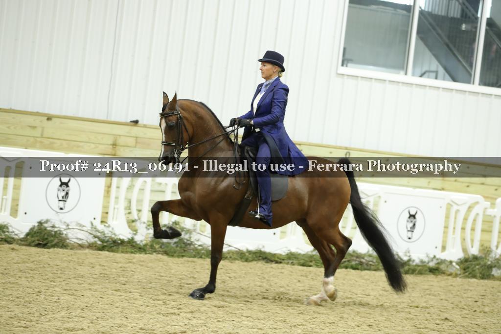 Proof 24R13_06191