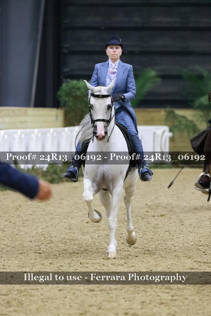Proof 24R13_06192