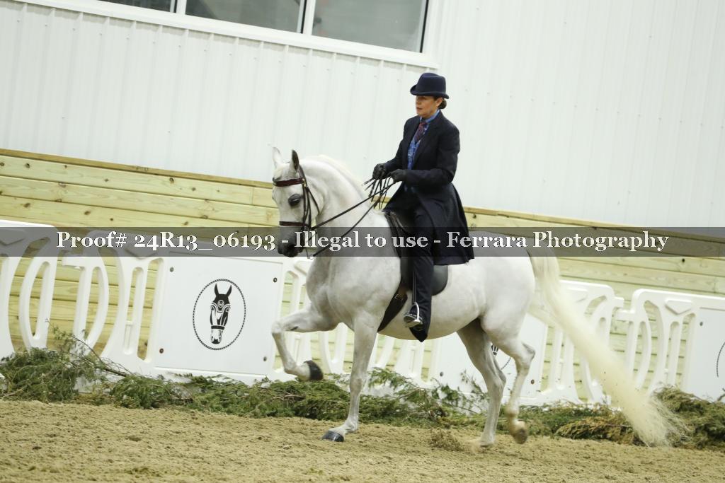 Proof 24R13_06193