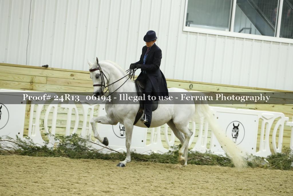 Proof 24R13_06194