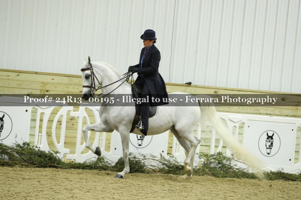 Proof 24R13_06195