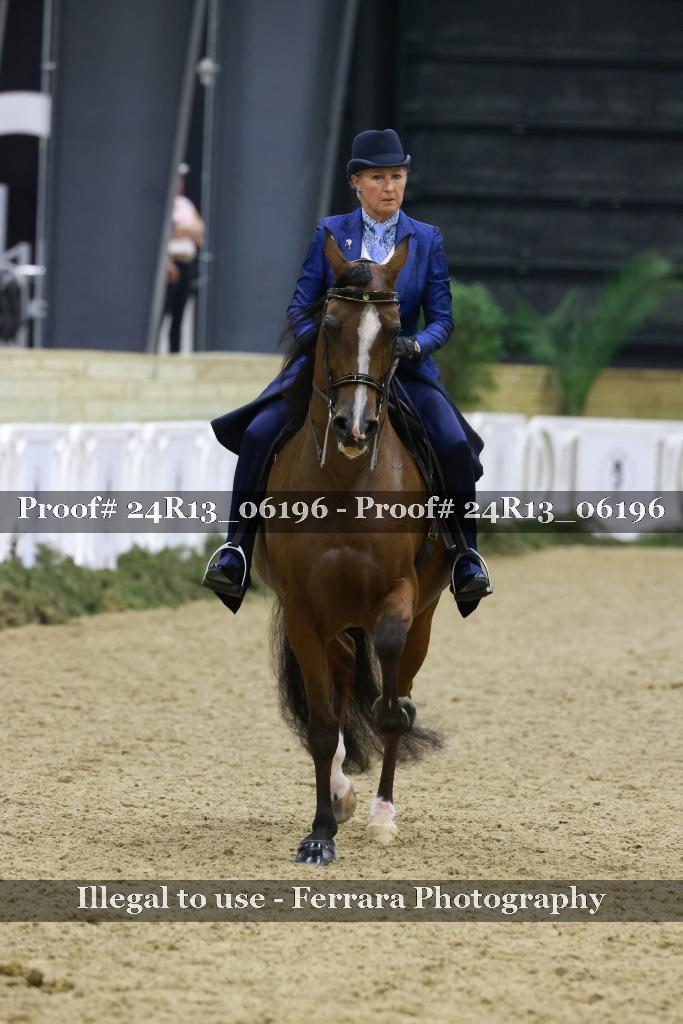 Proof 24R13_06196