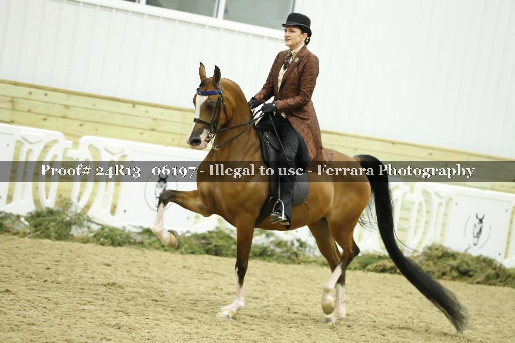 Proof 24R13_06197
