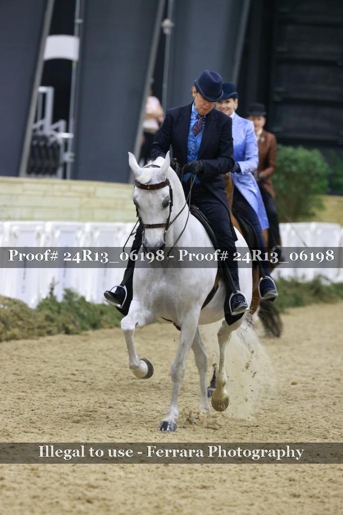 Proof 24R13_06198