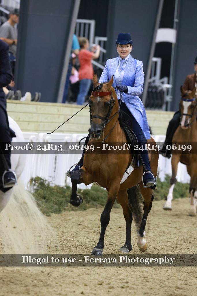 Proof 24R13_06199