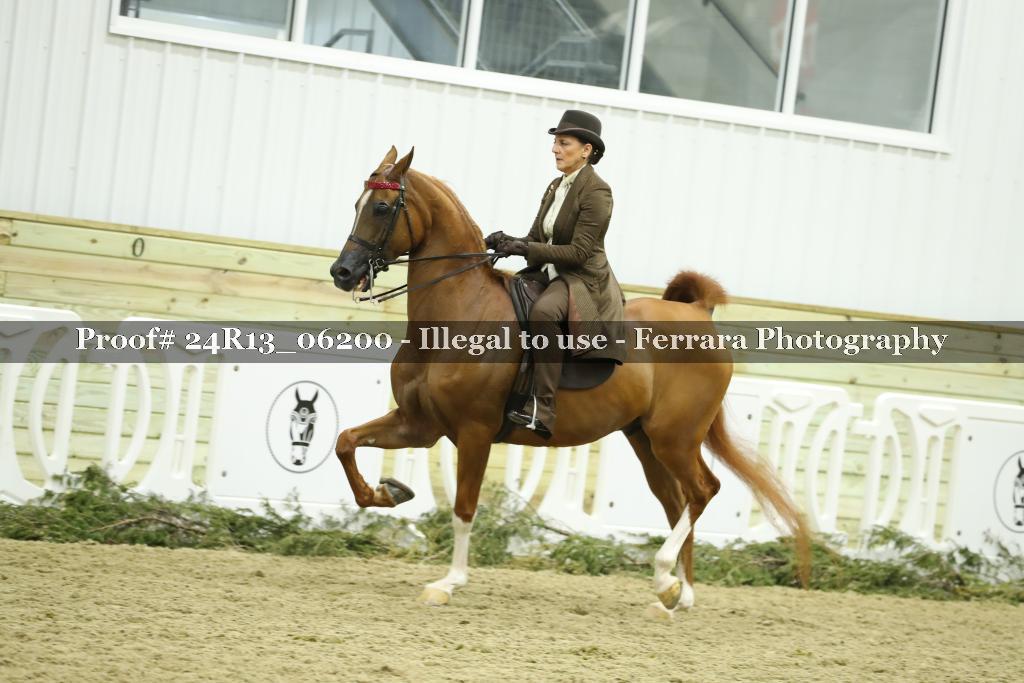 Proof 24R13_06200