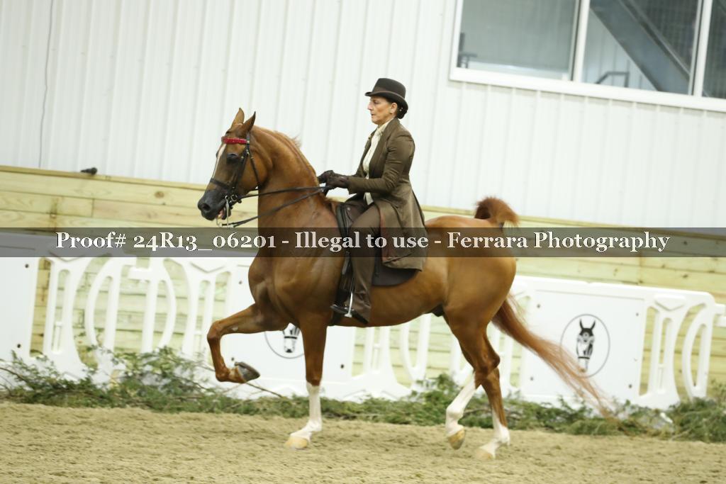 Proof 24R13_06201
