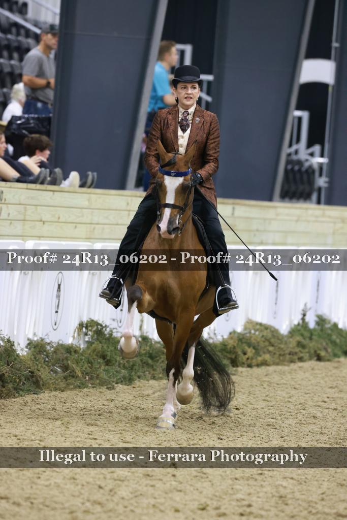 Proof 24R13_06202