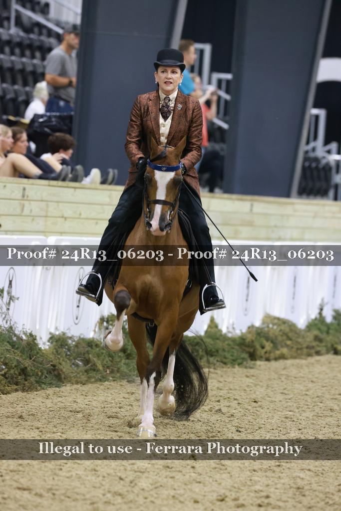 Proof 24R13_06203