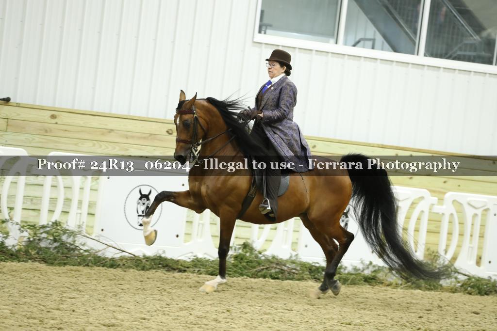Proof 24R13_06204