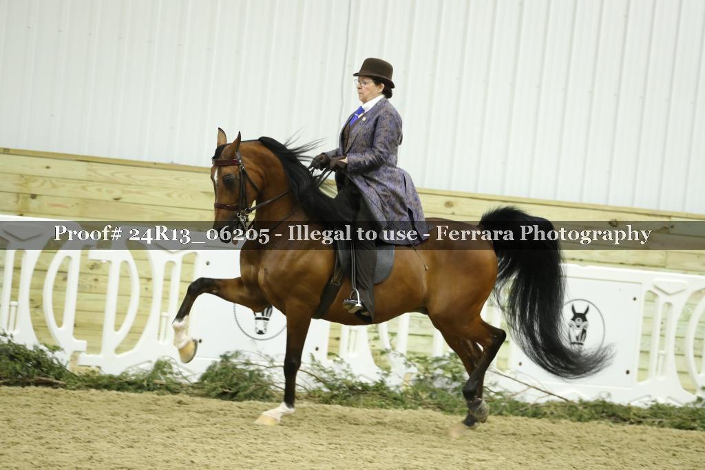 Proof 24R13_06205
