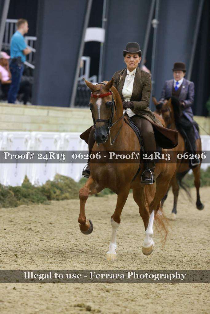 Proof 24R13_06206