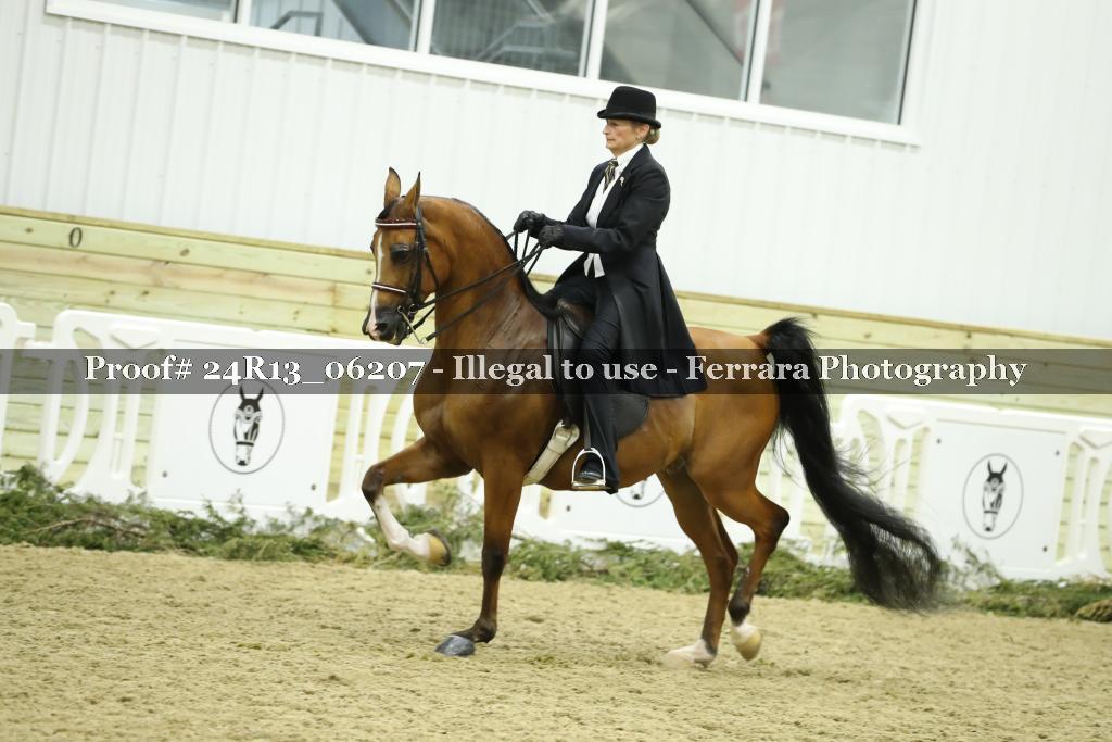 Proof 24R13_06207