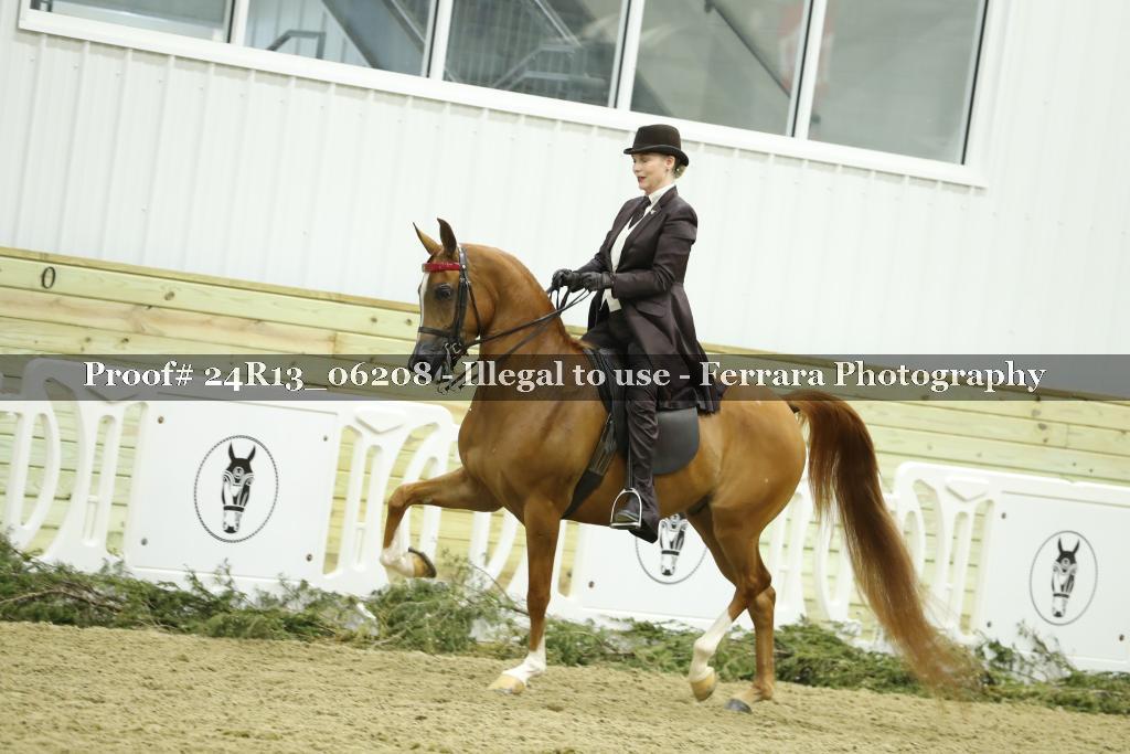 Proof 24R13_06208