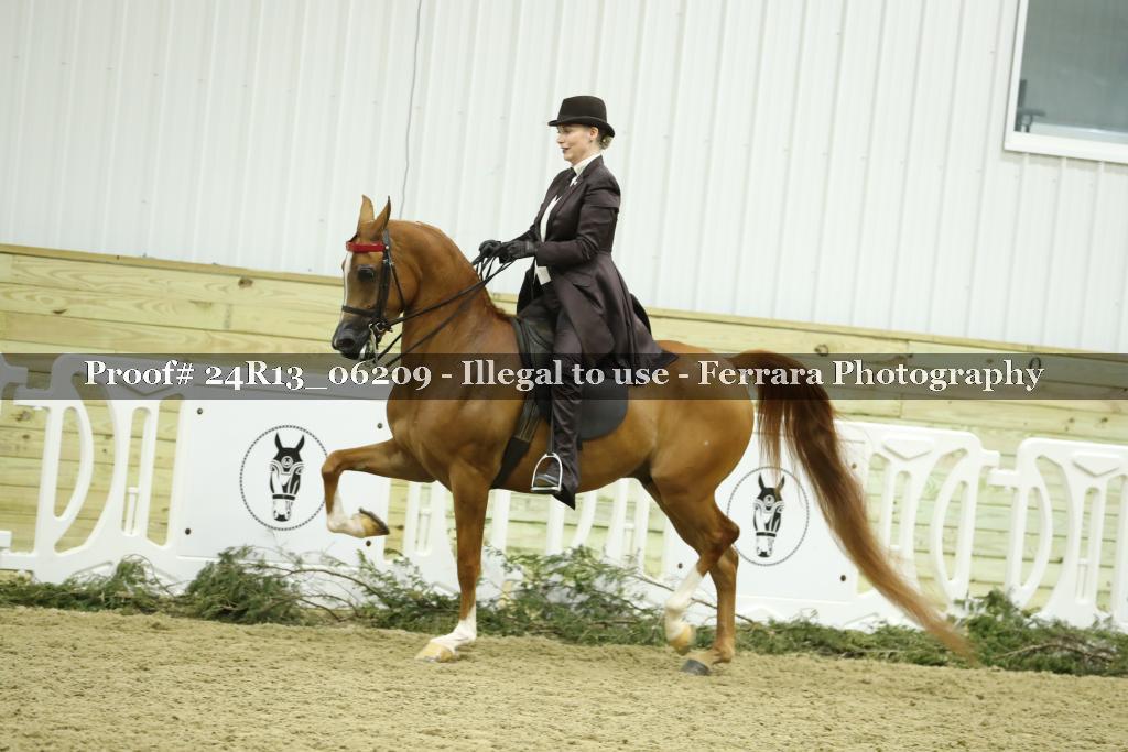 Proof 24R13_06209