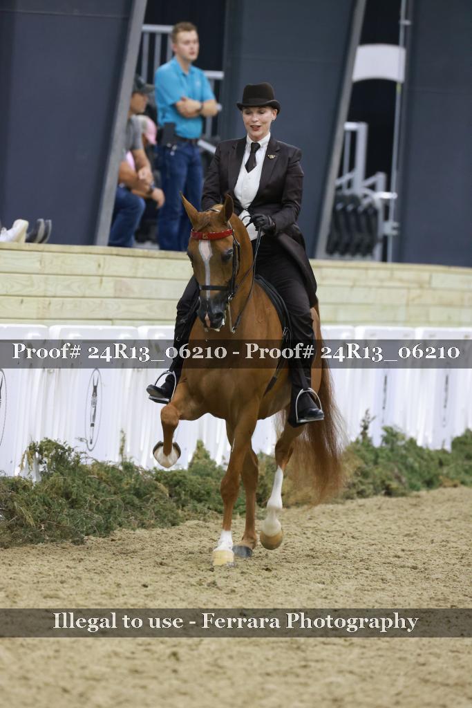 Proof 24R13_06210